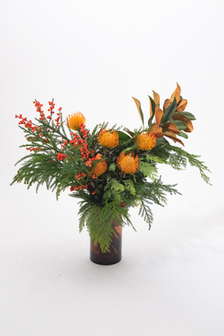 Зимний с нутанами