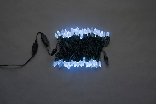 LED-XS-100-240V-W,ягода,белый, влагозащ.