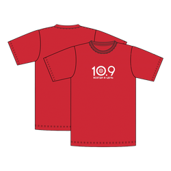 Футболка 10.9 меланж