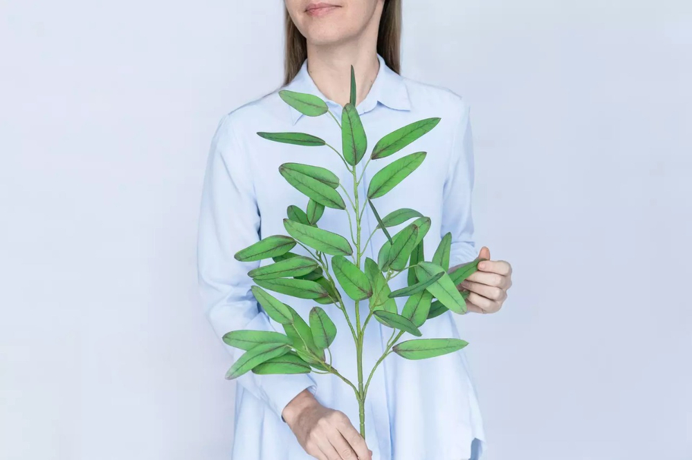 Ветка эвкалипта объемная Популус