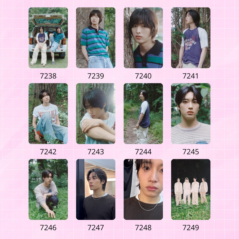 Карты / Dragon Pony