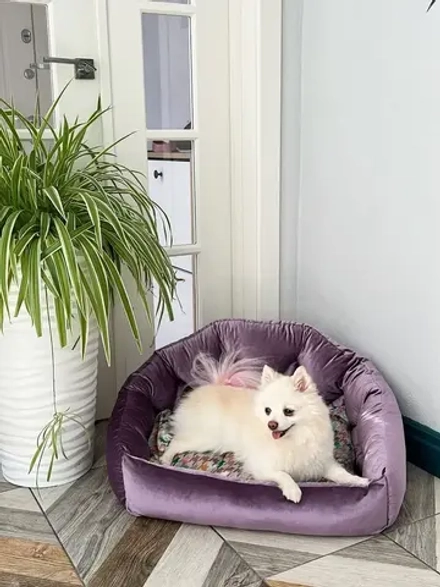 Лежанка для собак и кошек 60*45