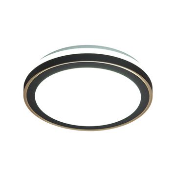 Настенно-потолочный светильник 48W 3000-6000K 7620/DLN черный/медный CCT AKUNA Sonex