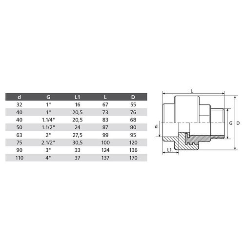 Муфта полипропиленовая 63х2" НР комбинированная TEBO