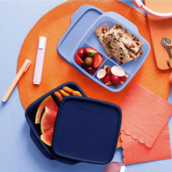 Контейнер с разделителями "Школьник" сиреневый и синий (2шт.) Tupperware