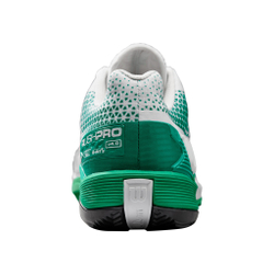 Мужские теннисные кроссовки Wilson Rush Pro 4.0 Clay Court Shoe Men - White, Green