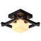Потолочный светильник Arte Lamp 95 A8252PL-1CK