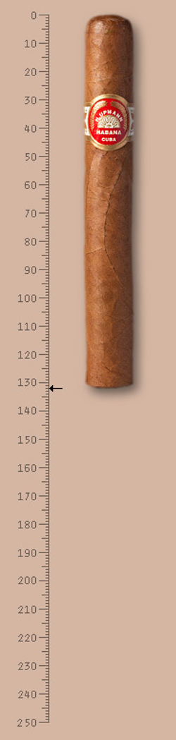 H. Upmann Coronas Major
