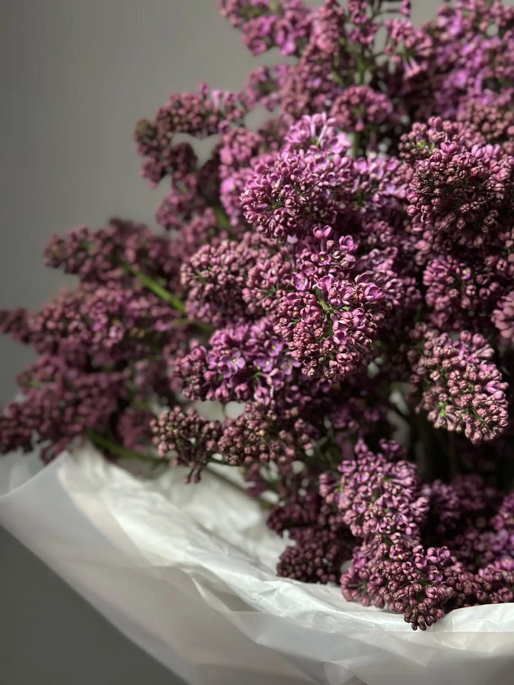 «Букет сирени»