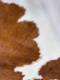 Коровья шкура на пол натуральная. 200 х 190 см