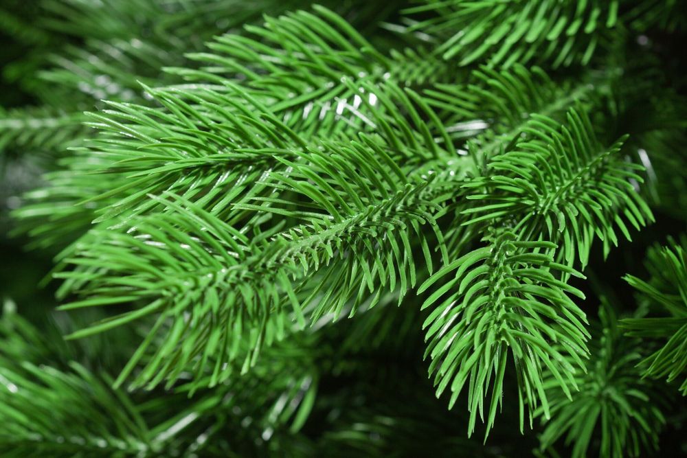 Ель искусственная «Катрин» (Литая хвоя) 3 м