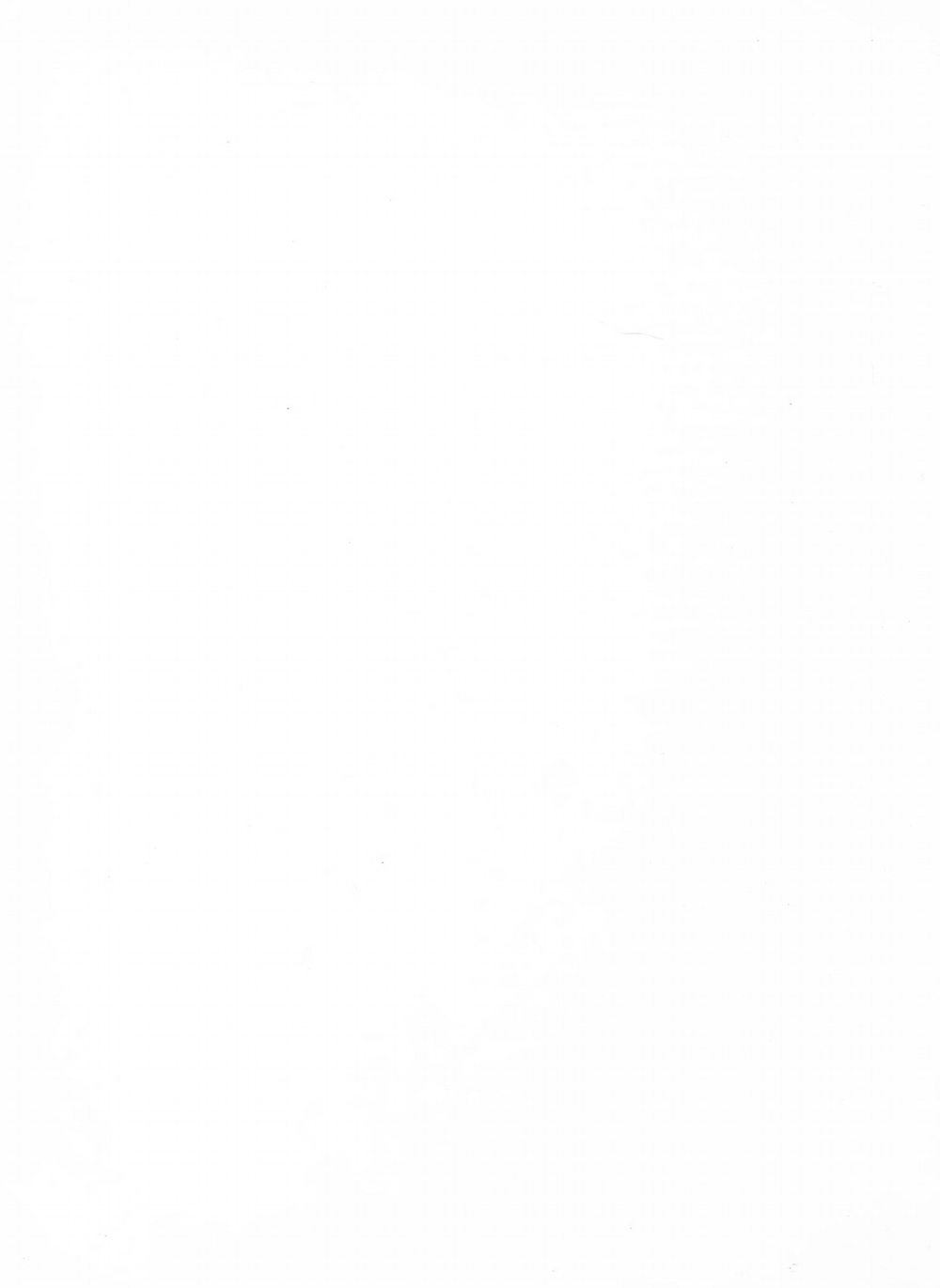 Ames demonstrations in perception. A guide to their construction and use | W.H. Ittelson