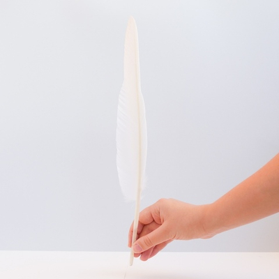 Перо для письма узкое