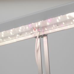 Настольный светильник для растений ЭРА FITO-20W-QLED-W полного спектра 20 Вт белый | Интерьерные фито светильники