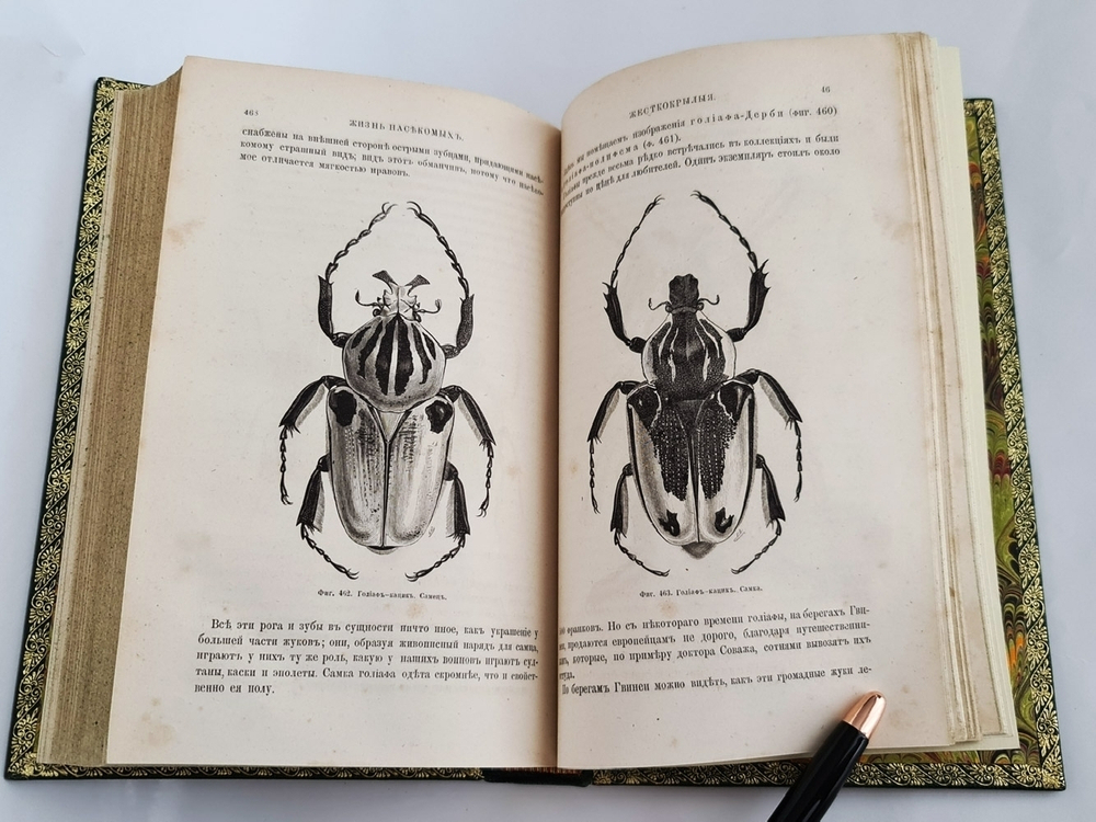 "Жизнь насекомых". Луи Фигье. 1869г. - антикварное издание