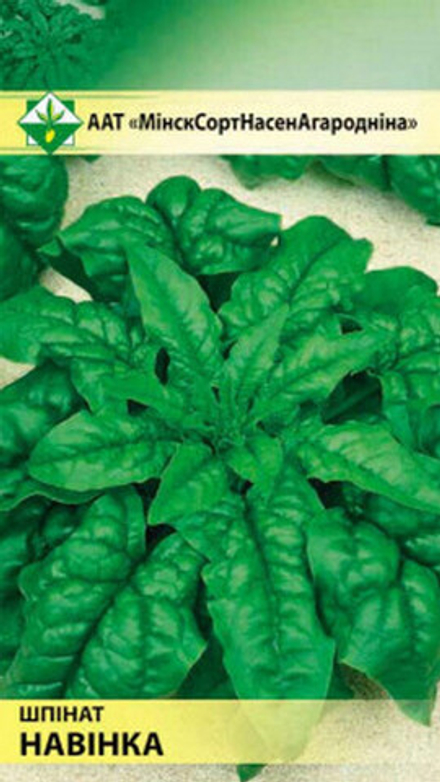 Шпинат "Новинка" 2г, Германия.