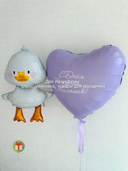 Набор шаров Уточка