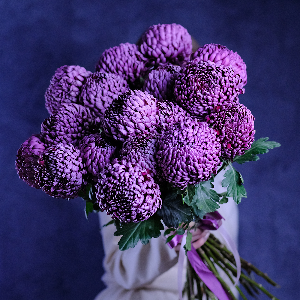 Букет премиальных хризантем Bigoudi Purple