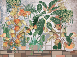 Коллекция KLUMBA