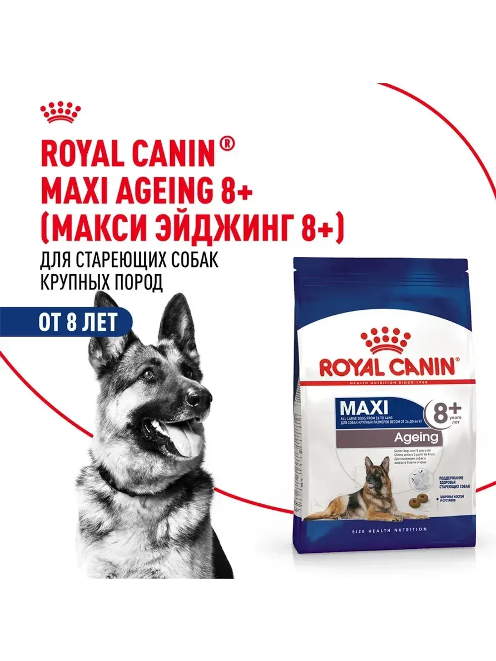 Royal Canin Maxi Adult 8+ (РоялКанин Макси Эджен 8+)для стареющих собак крупных пород (весом от 26 до 44 кг) в возрасте 8 лет и старше 15кг