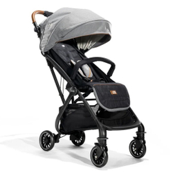 Прогулочная коляска Joie Tourist