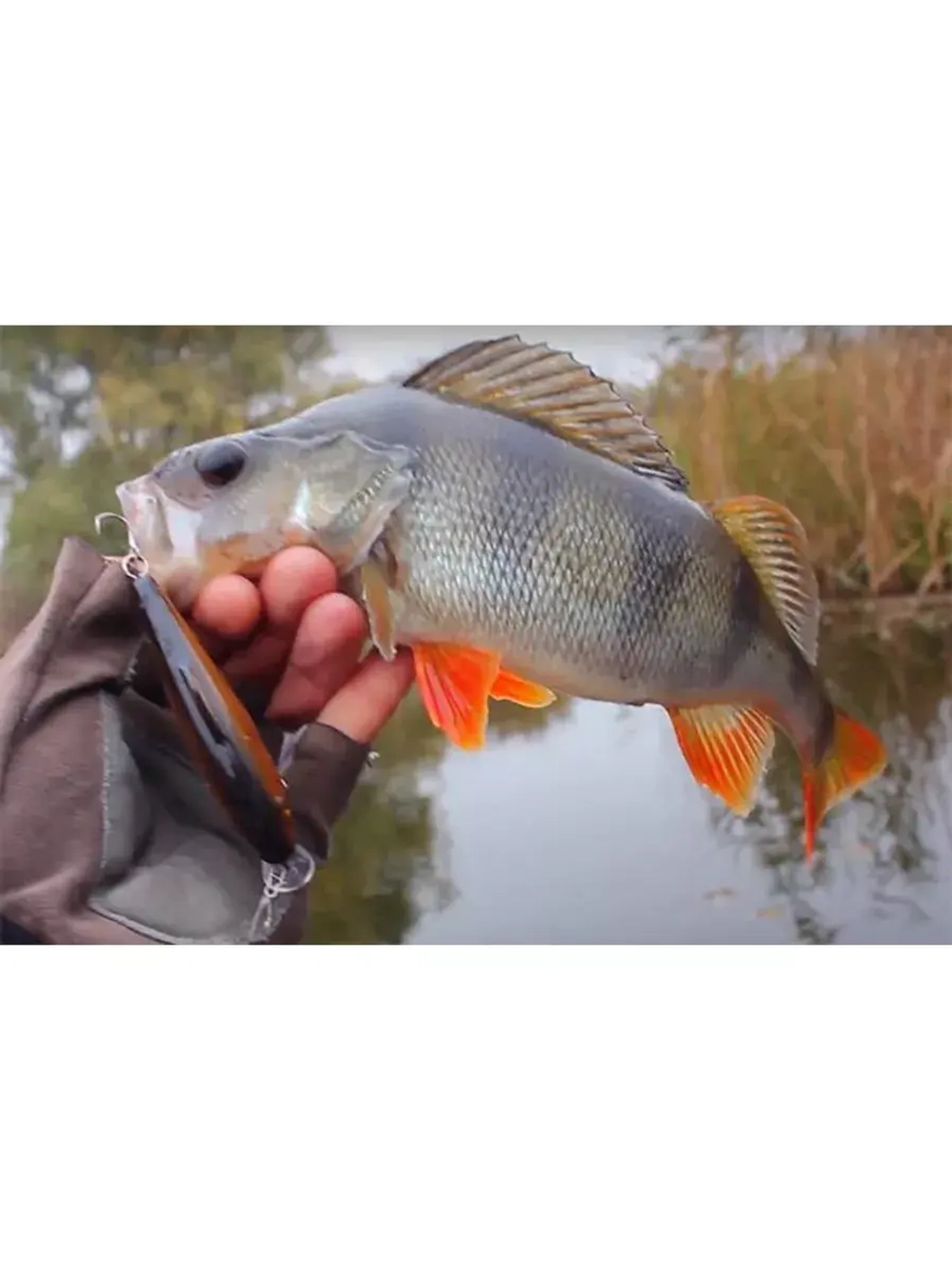 Воблер Шэд M-2 75mm,