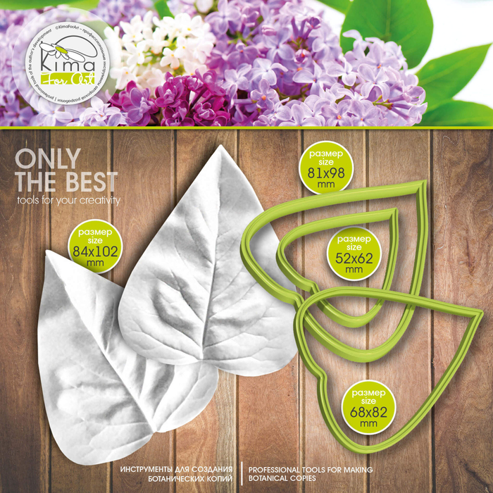 Сирень лист очень большой