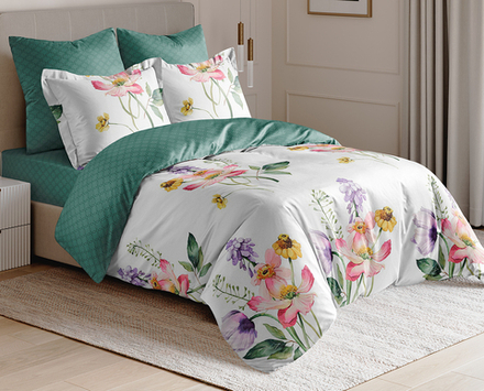 Постельное белье СайлиД BN-007 сатин