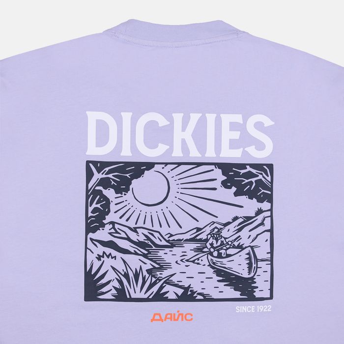 Футболка мужская Dickies Patrick Springs Tee  артикул:DK0A4YR7H181 - купить в магазине Дайс