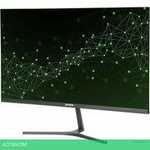 Монитор Digma Progress 24P503F