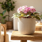 Кашпо РАМОНА D150 мм 1 л со вставкой 15*15*14см М3260