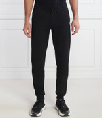 Спортивные штаны EA7 - черный(3DPP58 PJSHZ)