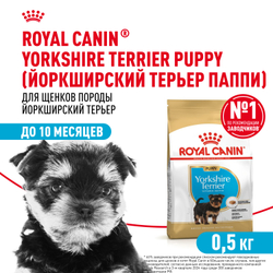 Royal Canin Yorkshire Terrier Puppy Корм сухой для щенков породы Йоркширский Терьер до 10 месяцев - 0,5 кг