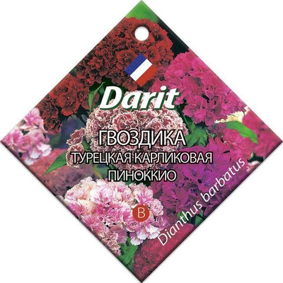 Гвоздика турецкая карликовая Пиноккио, семена Дарит 0,3г