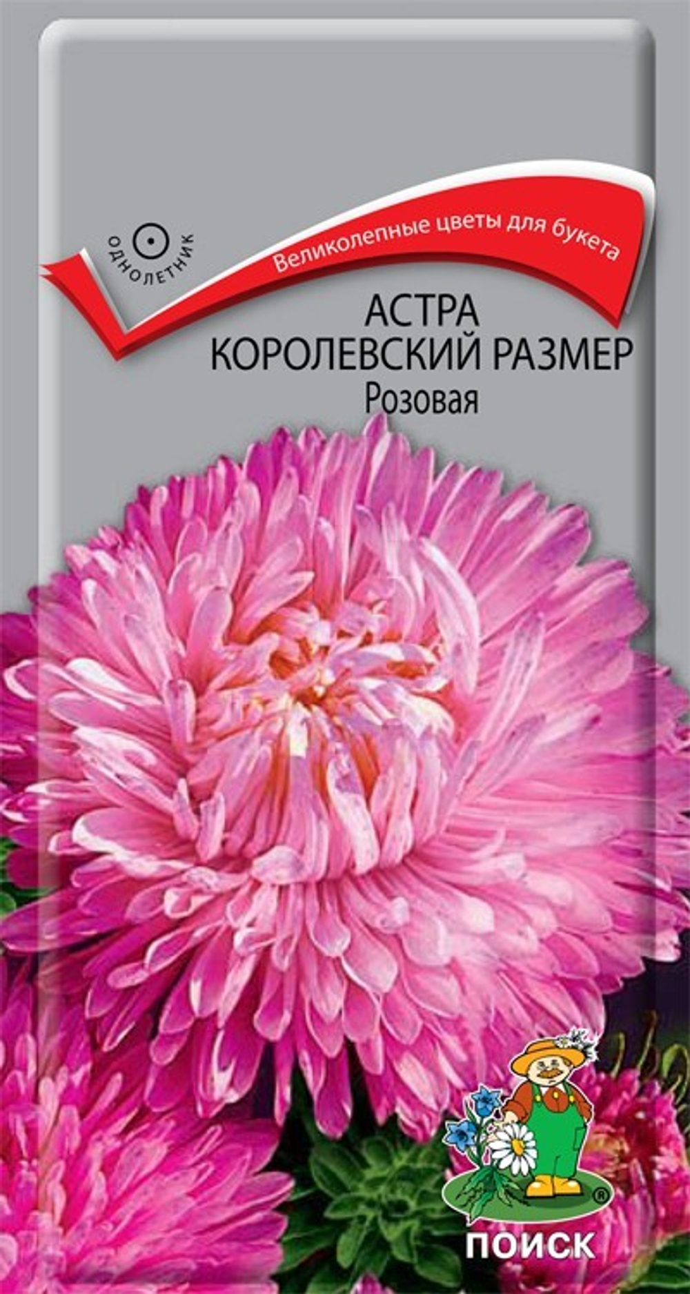 astra_korolevskiy_razmer_rozovaya_tsv_1_0_1gr_v_sortovye_semena