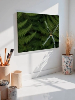 Картина на стену 40 X 50 Паук