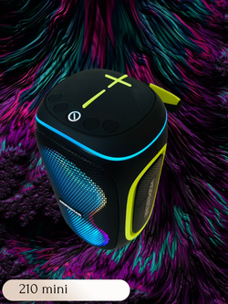 Портативная колонка Hopestar Party 210mini, 30Вт,черный