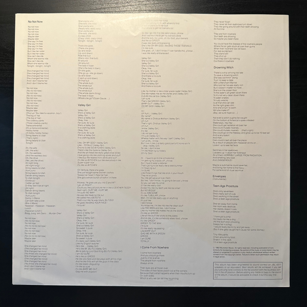 Zappa- Ship Arriving Too Late To Save A Drowning Witch (Голландия 1982г.)