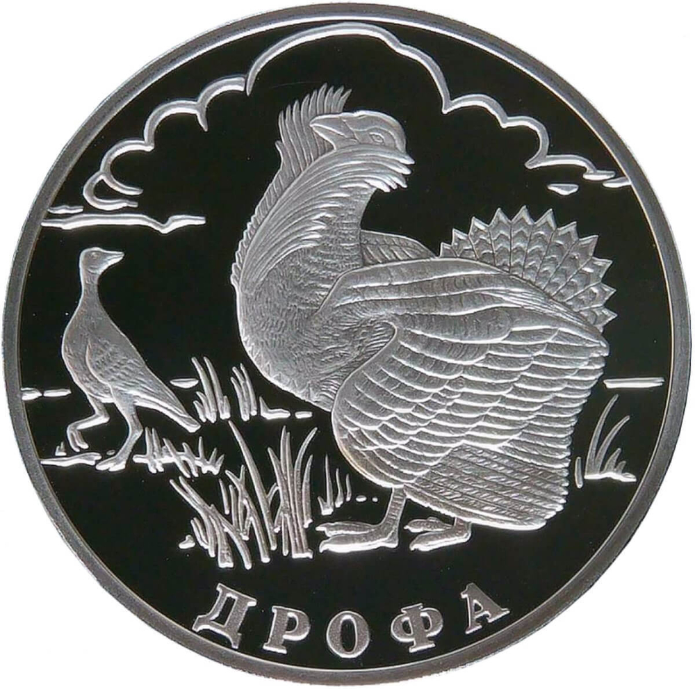 1 рубль 2004 СПМД Proof ''Красная книга - Дрофа'' (Proof)