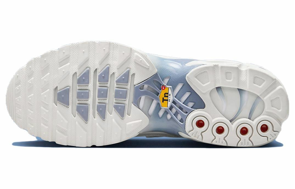Кроссовки Nike Air Max Plus (Женская размерная сетка)