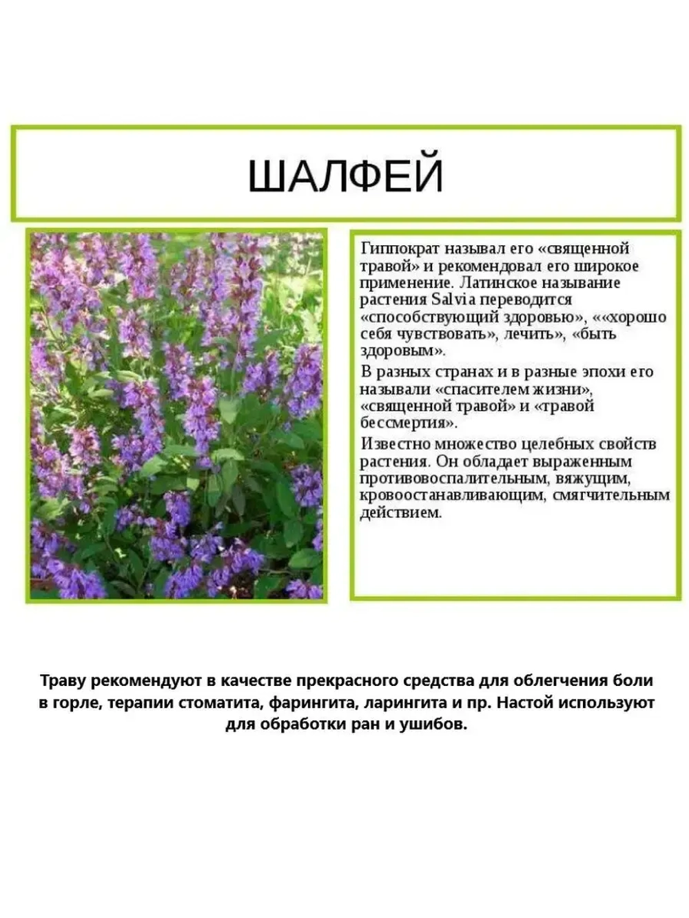Тайские шарики драже от кашля и ангины