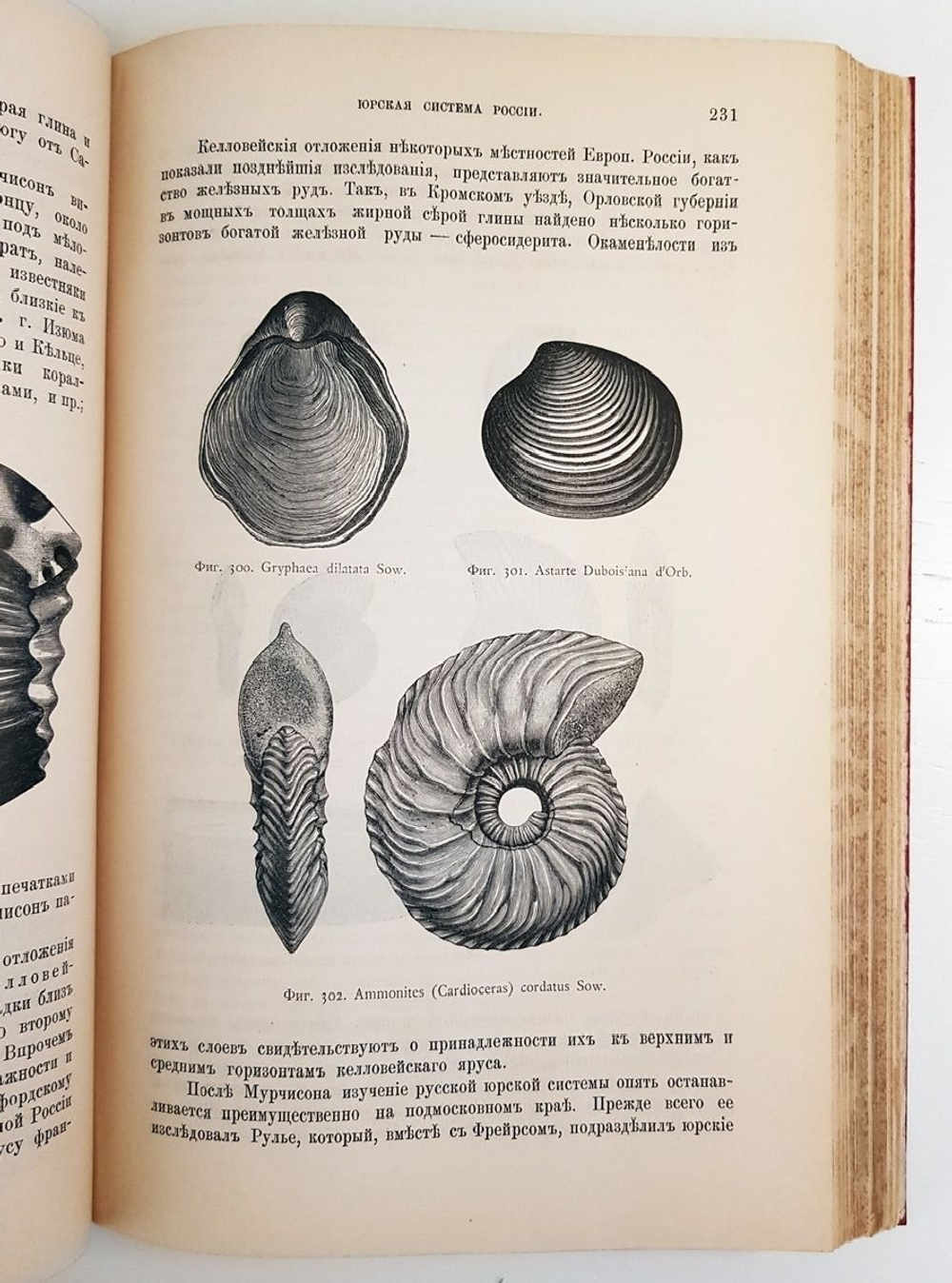 "Геология. Общий курс. В двух томах. Том 2". А.А. Иностранцев. 1887г. - антикварная книга