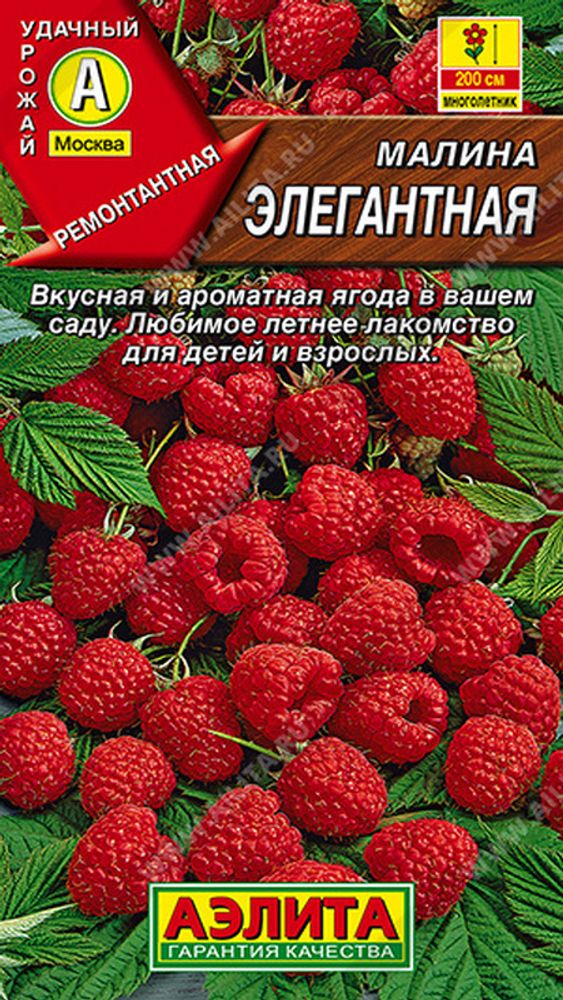 Малина "СТ. Элегантная" 20шт., Россия. Малина "СТ. Элегантная" 20шт., Россия.