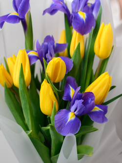 Дуо букет Ирисы и Тюльпаны