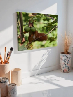 Картина на стену 40 X 50 Белка