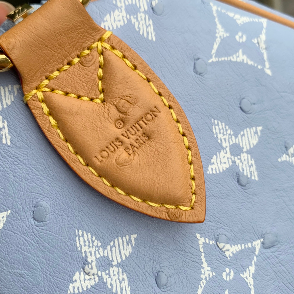 Louis Vuitton Speedy P9 Bandouliere 30