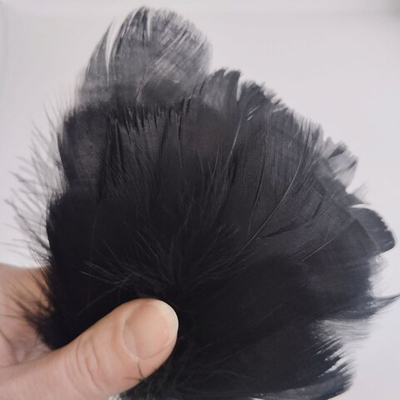 Гусиные перья 5-13 см чёрные 2 сорт 20шт.
