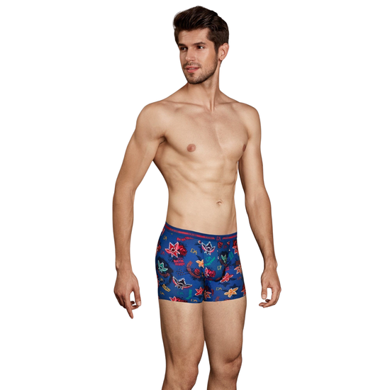 Мужские трусы боксеры синие с принтом Doreanse STRANGER 1898