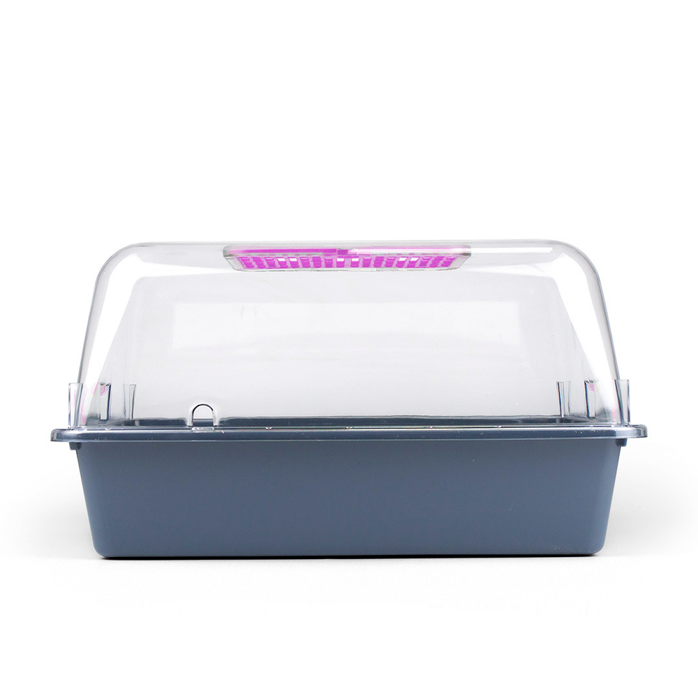 Террариум ZOOSET прозрачный серый/сиреневый - L (42х30,5х22,5 см)