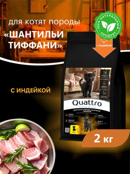 Корм сухой для котят породы Шантильи Тиффани, с индейкой, 2кг, QUATTRO